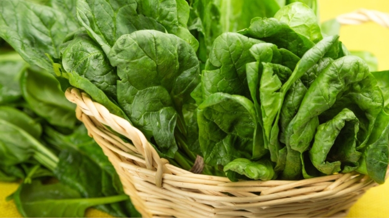 Cải bó xôi chứa hàm lượng magie cao