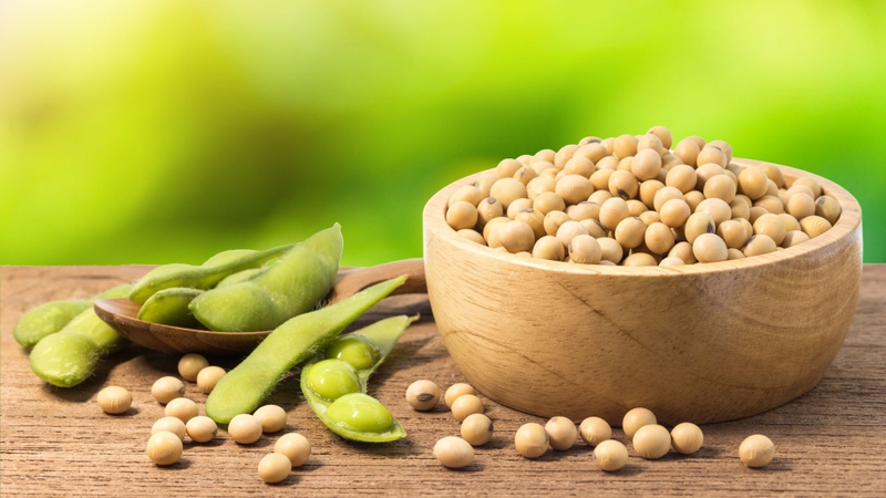 5 loại thực phẩm giàu protein, ít carb nên ăn khi giảm cân 2