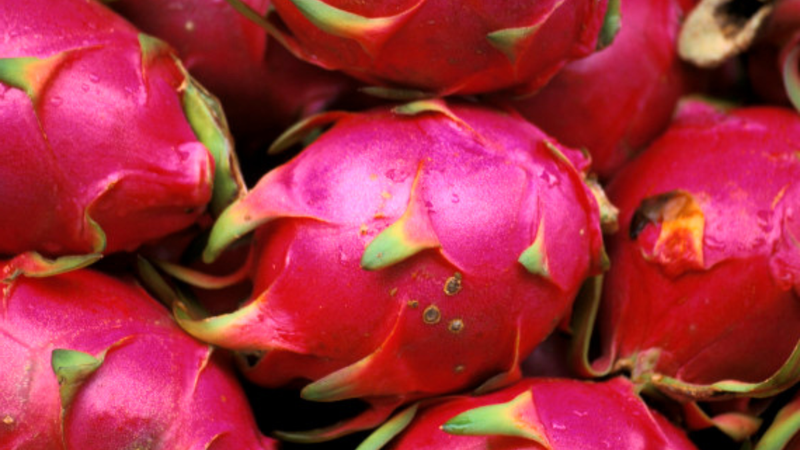 5 lợi ích từ thanh long loại quả 'vua xuất khẩu’ của Việt Nam 1