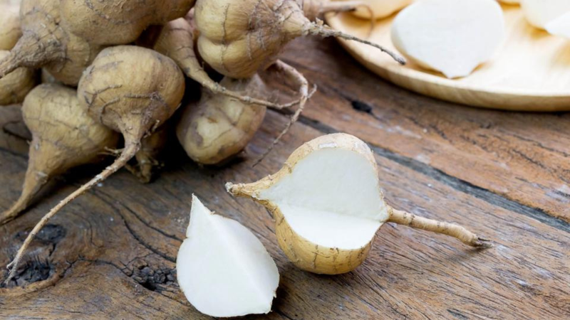 5 lý do nên bổ sung củ đậu vào thực đơn hàng ngày 1