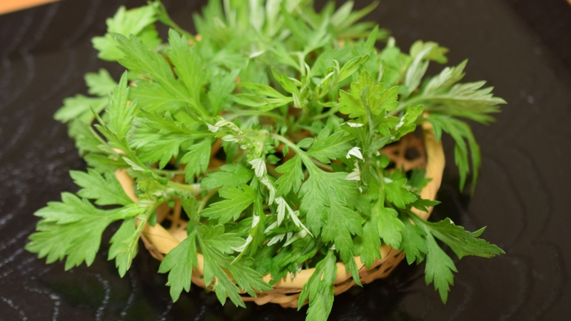 Phụ nữ mang thai, trẻ nhỏ, người có bệnh lý gan, thận hoặc rối loạn tiêu hóa cấp cần tham khảo ý kiến bác sĩ trước khi sử dụng ngải cứu