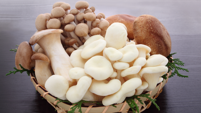5-thuc-pham-giau-vitamin-d-ho-tro-hap-thu-magie-hieu-qua-3.png