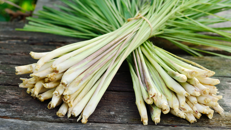 5+ thực phẩm giúp loại bỏ ký sinh trùng đường ruột 2