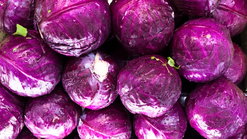 Bắp cải tím giàu vitamin C - đóng vai trò như "nguyên liệu sản xuất" collagen