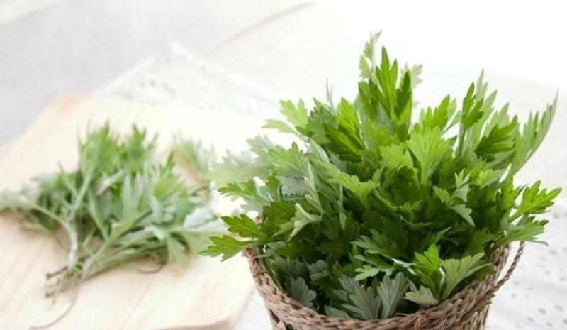 5 vị thuốc điều hòa kinh nguyệt đông y an toàn, lành tính cho phái nữ 3