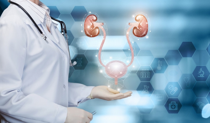 6 bài tập chữa bàng quang tăng hoạt cực kỳ hiệu quả 2