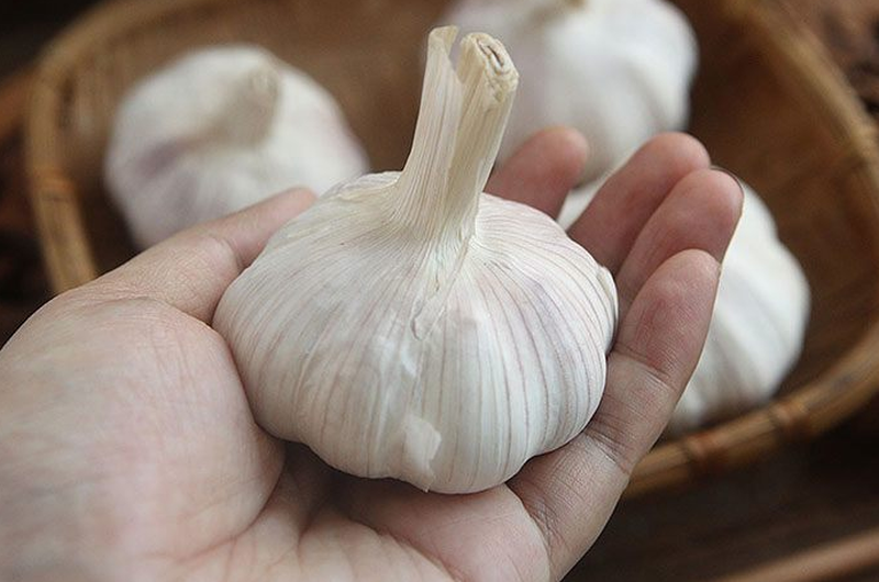 6 cách chữa hắt hơi sổ mũi bằng tỏi dễ làm 3