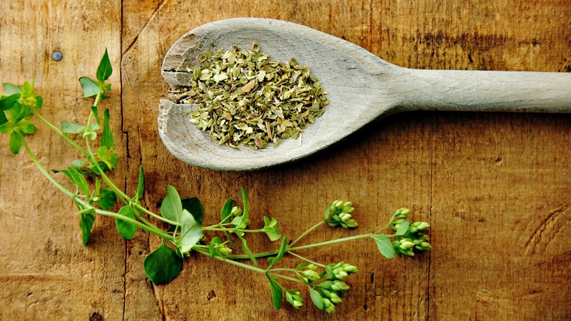 6 công dụng đối với sức khỏe của Oregano dựa trên cơ sở khoa học