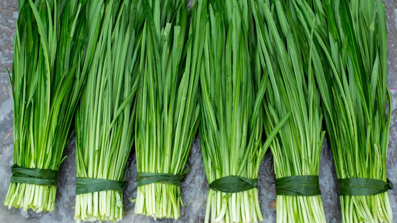 Hẹ dễ bị sâu bệnh nên có thể dùng nhiều thuốc