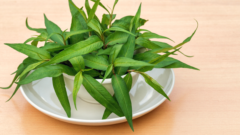 6 loại rau thơm ăn thường xuyên sẽ giúp bạn sống khoẻ 1