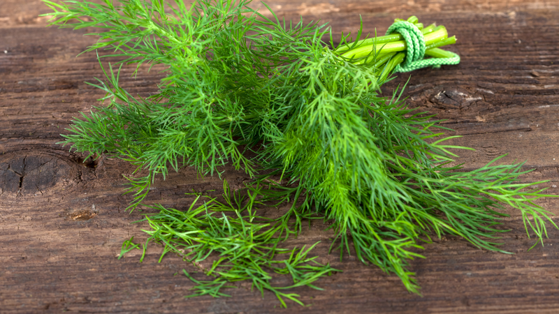 6 loại rau thơm ăn thường xuyên sẽ giúp bạn sống khoẻ 2