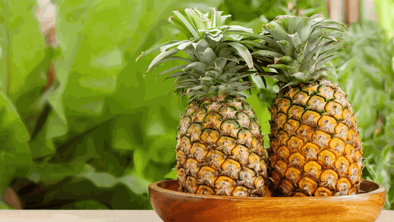 6 loại trái cây tốt nhất để thanh lọc cơ thể, “ức chế” tế bào ung thư 2