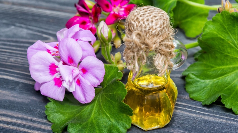 6 Lợi ích của tinh dầu phong lữ đối với làn da 4