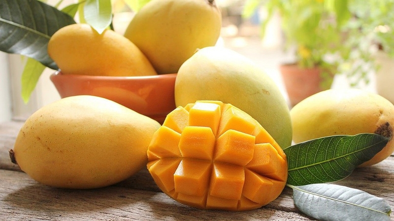 Xoài mang lại rất nhiều lợi ích với sức khỏe con người