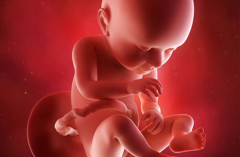 Hình ảnh thai nhi 32 tuần và những thay đổi của bé 2