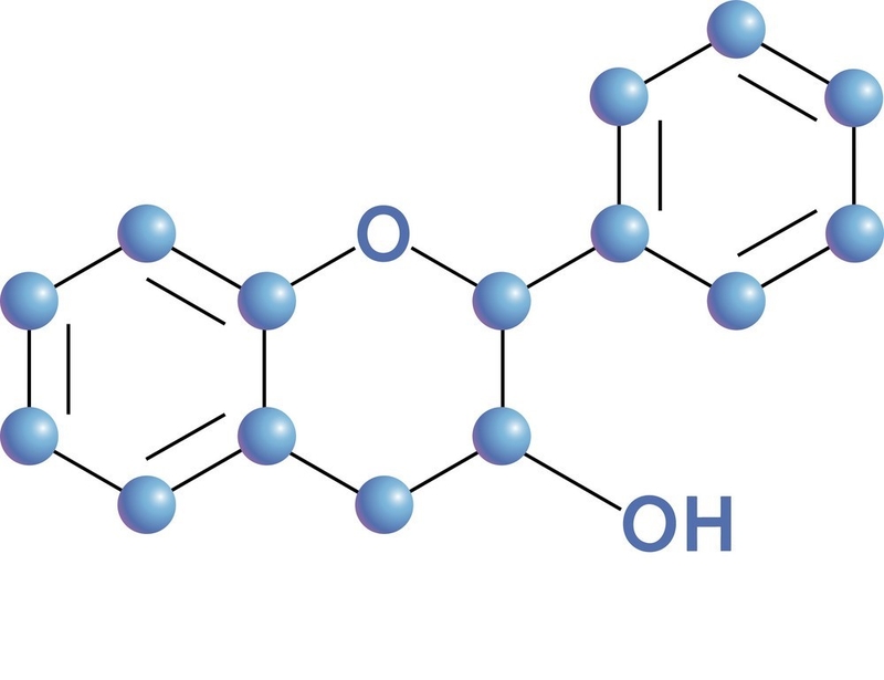 Flavonoid có trong thực phẩm nào mà đem lại tác dụng lớn cho cơ thể - 1