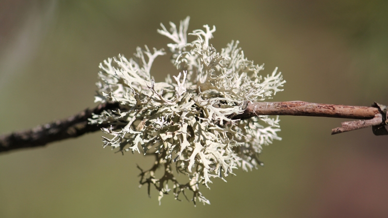 7 cách để bổ sung vitamin D hiệu quả cho cơ thể của bạn 5