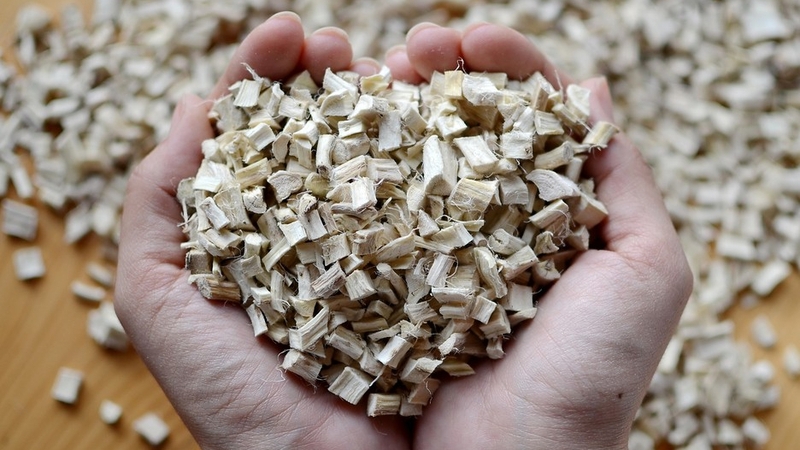 7 công dụng thảo dược của rễ Marshmallow