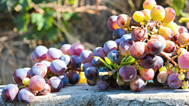 7 loại quả giàu kali giúp thải axit uric 4