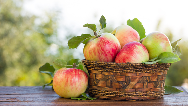 Táo giàu chất xơ, hỗ trợ kiểm soát cân nặng