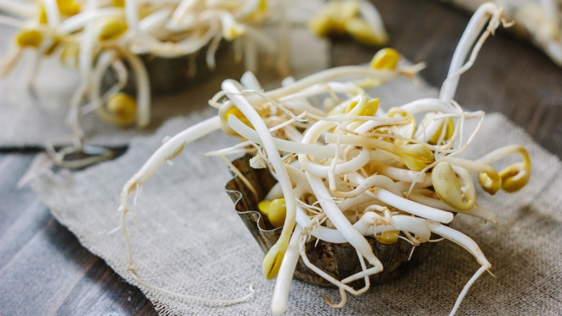 7 loại rau có hàm lượng purin cao người bị gout không nên ăn 3