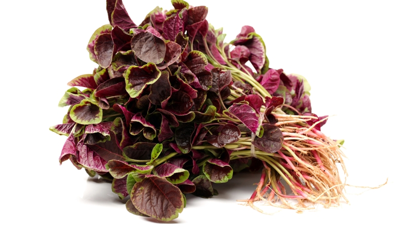 7 loại rau giàu canxi hơn cả tôm, cá 3