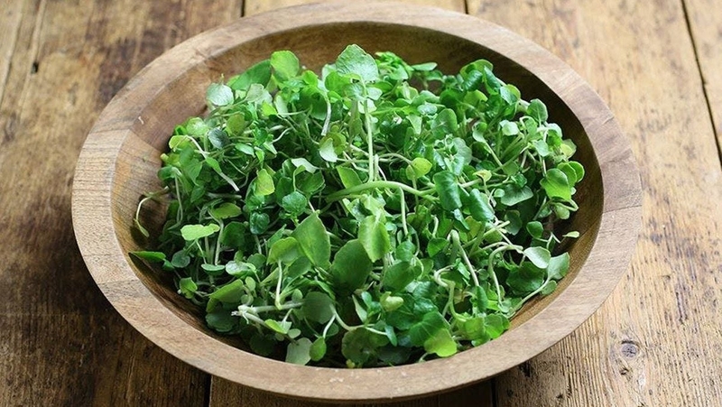 7-loai-rau-giup-thuc-day-san-xuat-collagen-ngan-ngua-lao-hoa 2.jpg