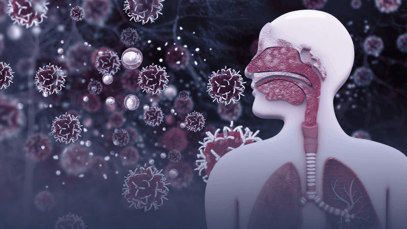 Trà nóng giúp làm ấm cơ thể nhanh chóng, hỗ trợ lưu thông máu, bảo vệ đường hô hấp và mang lại cảm giác thư giãn, dễ chịu