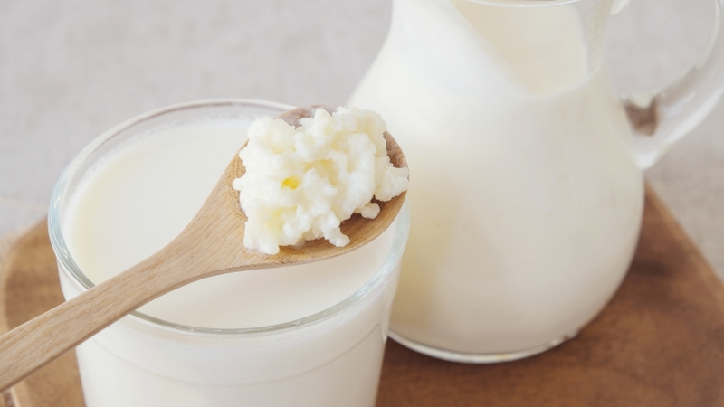 Một trong những tác hại của nấm Kefir đó là gây rối loạn tiêu hóa nếu dùng quá mức