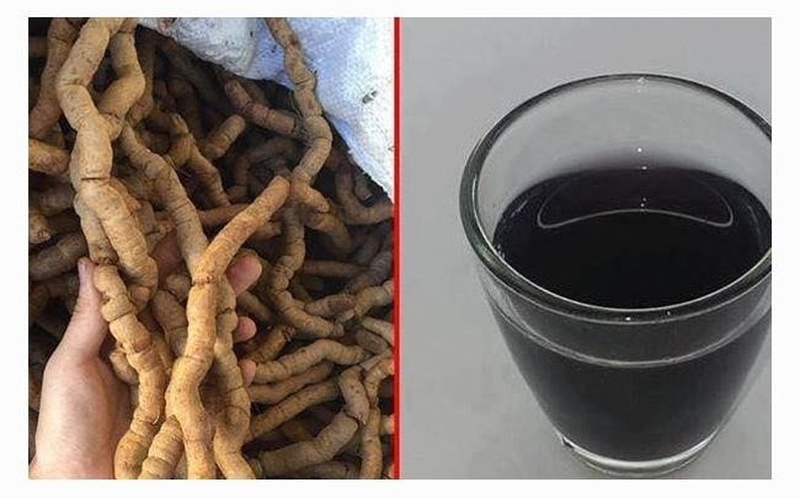 7 vị thuốc bổ thận đông y tăng cường sức khỏe được đánh giá cao nhất hiện nay 1