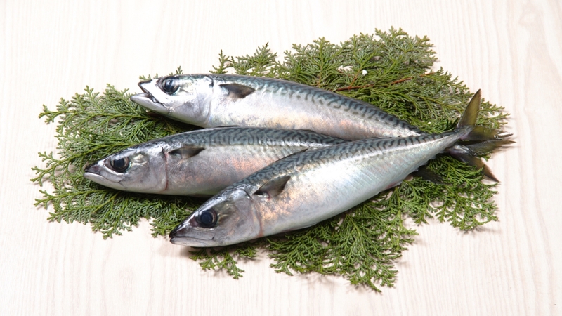 8 loại cá có hàm lượng omega-3 cao nhất nên bổ sung 2