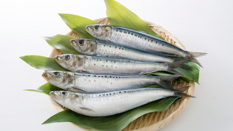 8 loại cá có hàm lượng omega-3 cao nhất nên bổ sung 4