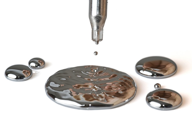 8 loại cá ngậm thủy ngân nhiều nhất mà bạn nên biết5