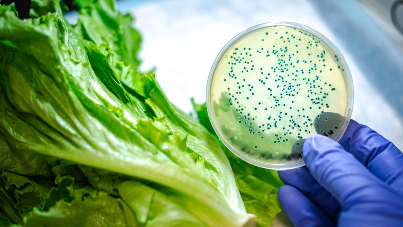 8 loại ký sinh trùng và vi khuẩn dễ ẩn náu trong thức ăn 2