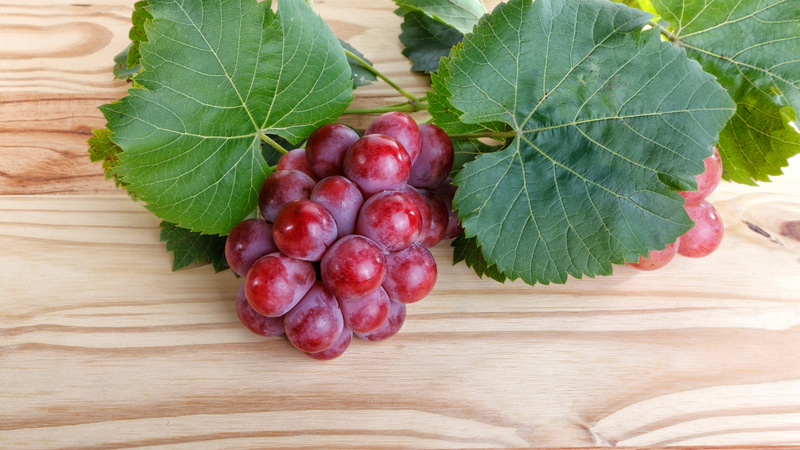 8 loại trái cây rất tốt cho người mắc bệnh tim 4