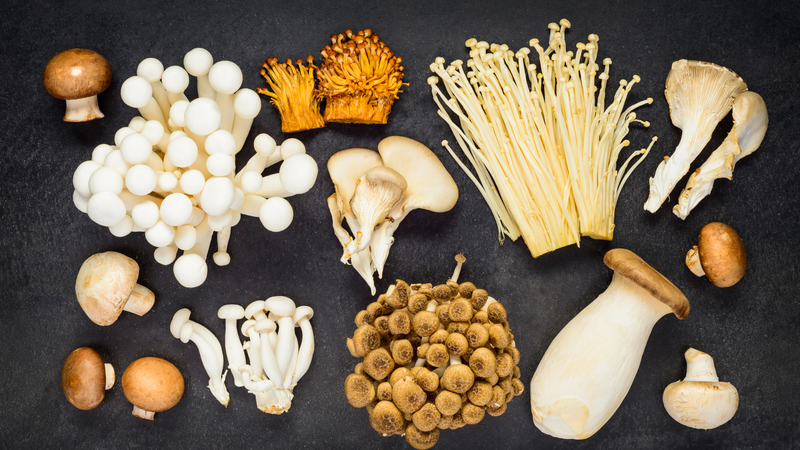 8 lợi ích bất ngờ từ việc ăn nấm thường xuyên 1