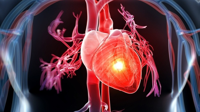 Sử dụng vitamin C giúp phòng chống nguy cơ mắc bệnh tim mạch