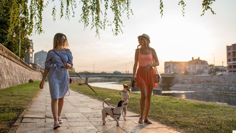 9 cách tự nhiên để tăng năng lượng mỗi ngày 1