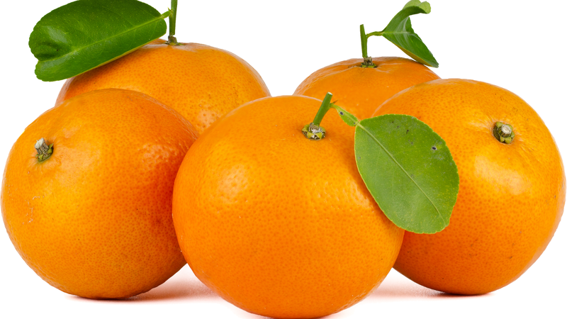 9 loại thực phẩm tốt cho người bệnh phổi 1