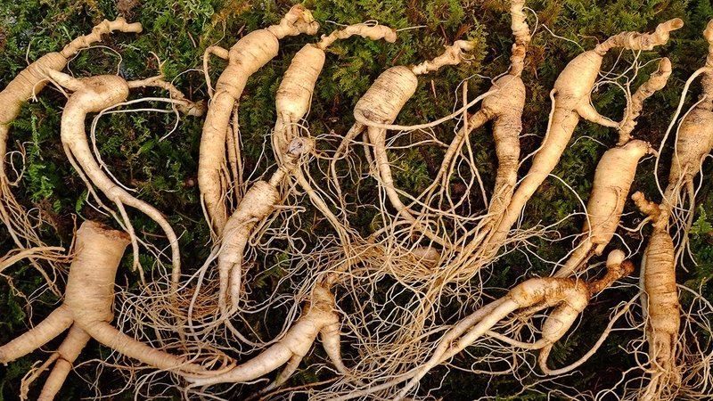 9 loại vitamin và chất bổ sung có thể làm tăng huyết áp 1