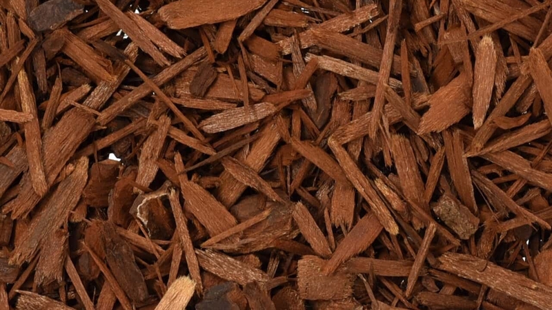 9 loại vitamin và chất bổ sung có thể làm tăng huyết áp 3