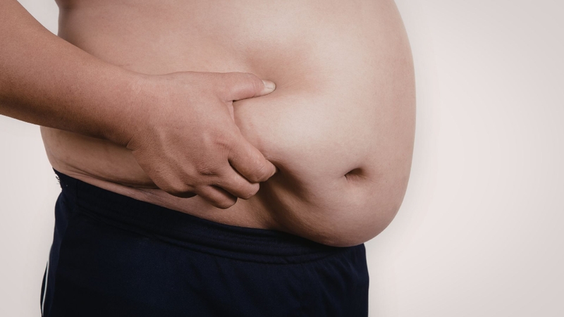 AICA ribonucleotide có vai trò trong nghiên cứu liên quan đến tiểu đường, béo phì