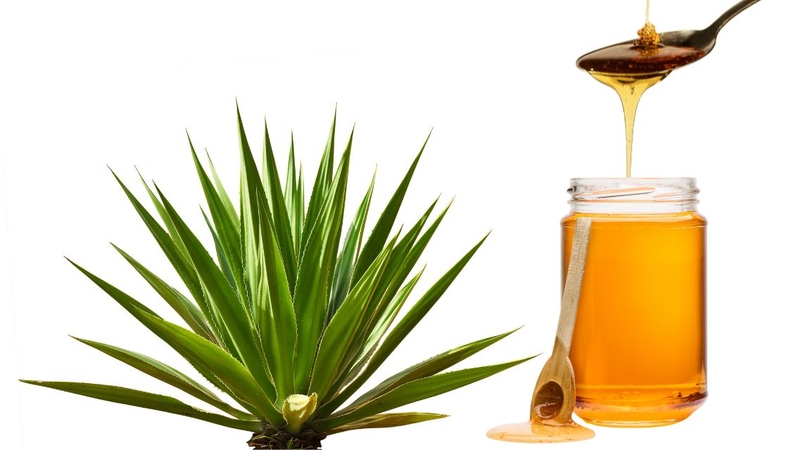 Agave Nectar là gì? Dinh dưỡng và lợi ích sức khỏe của Agave Nectar 4