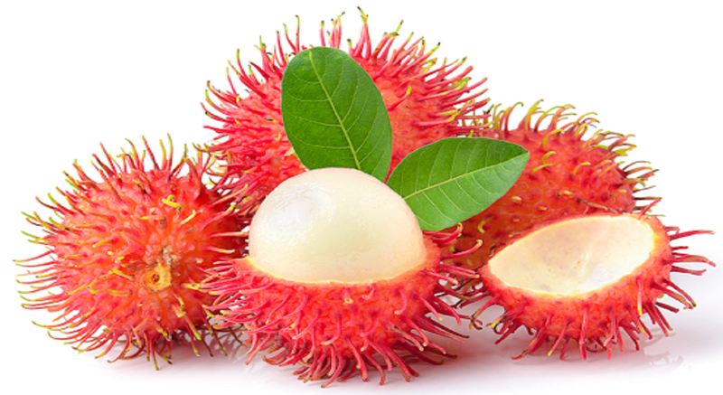 Ăn chôm chôm có nổi mụn không? Ăn chôm chôm có những lợi ích gì? 1