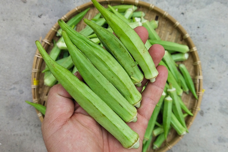 Ăn đậu bắp nhiều có tốt không? Công dụng và lưu ý khi ăn đậu bắp mà bạn nên biết 1