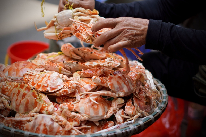 Ăn ghẹ có bị sẹo lồi không? Các thực phẩm cần tránh khi đang có vết thương hở 3