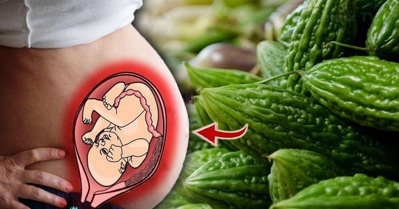 Ăn mướp đắng giảm mỡ máu không? Giải thích đầy đủ 3