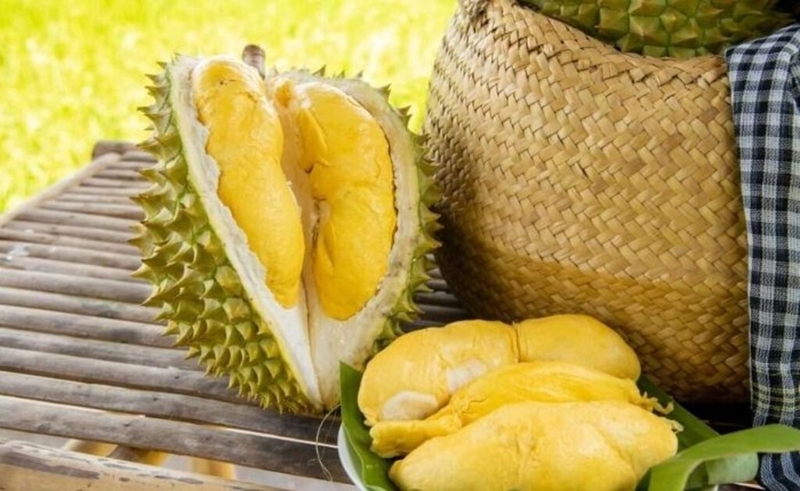 Ăn sầu riêng có tác dụng gì không phải ai cũng biết 5