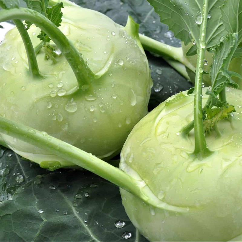 Ăn su hào có bị mất sữa không? Su hào có công dụng gì đối với mẹ bỉm sữa? 1