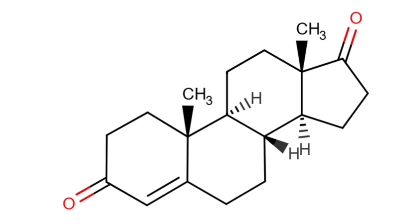 Công thức hóa học của Androstenedione